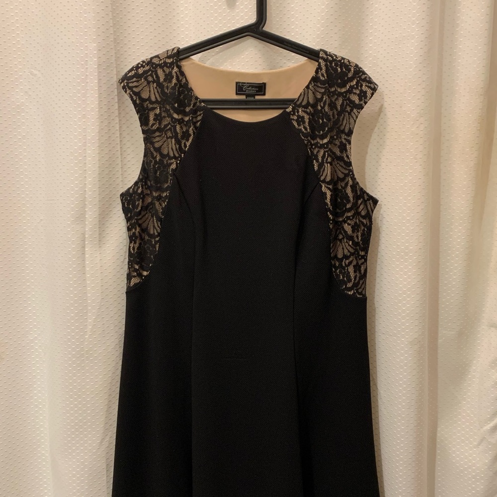 Black and beige lace Dress Barn dress